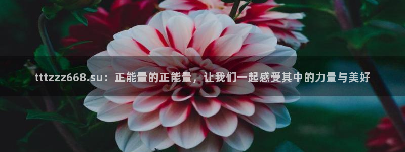 黑料曝光:tttzzz668.su:正能量的正能量,让我们一起感受其中的力量与美好