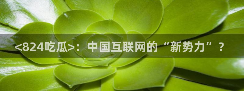 吃了坏瓜怎么办:<824吃瓜>:中国互联网的“新势力”?